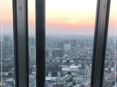 -环球港凯悦 · 享悦中餐厅