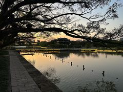 -江心屿景区
