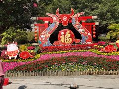 -金鸡山公园