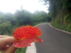 景点-山王坪喀斯特国家生态公园
