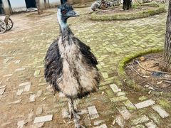 -武汉紫薇都市田园