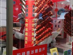 -和禄德冰糖葫芦