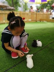 -萌宠亲子动物乐园(槐房万达店)