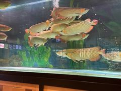 -弘安丽水温泉酒店
