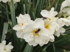 -陕西省西安植物园