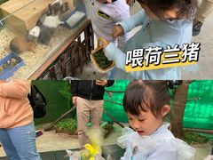 -史努比缤纷世界
