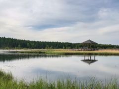 -塞罕坝国家级自然保护区