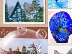 -上海海昌海洋公园