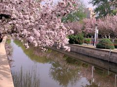 -元大都城垣遗址公园