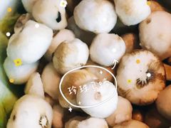 -百年果林椰子鸡(中洲店)