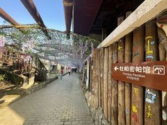 -呀路古热带植物园