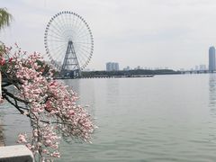 -无锡蠡湖国家湿地公园-蠡园