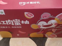 -百果园PAGODA(和泓四季店)