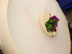 -老牌坊云南鱼豆花火锅(嵩山店)