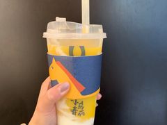 -春丽小马(济南恒隆广场店)