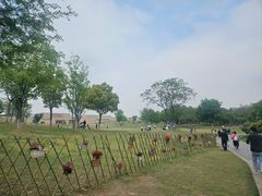 -盘龙城遗址博物院