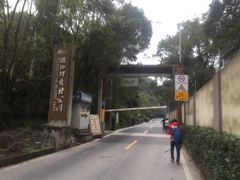 -铁山坪森林公园