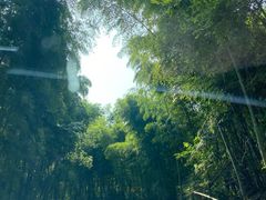 -东钱湖小普陀景区