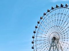 -琴岛之星摩天轮