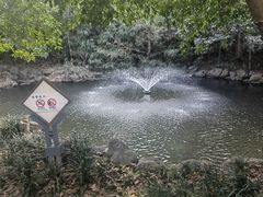 -中山公园