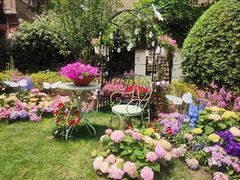 -常熟路(地铁站)