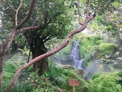 -Chom Cafe and Restaurant