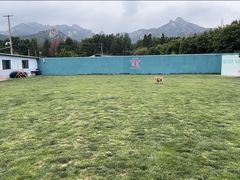 -趣玩宠物乐园寄养训犬训狗游泳池