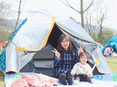 -羊山湖公园