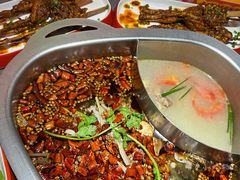 -味之绝·美蛙鱼头火锅(科巷店)