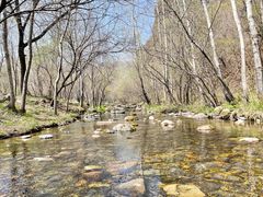 -玉渡山自然风景区