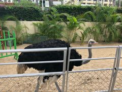 -三亚亚龙湾天域度假酒店