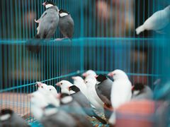 -细村农贸综合市场