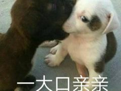 -东部华侨城