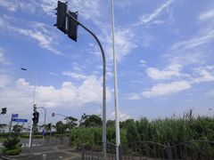 -南汇嘴观海公园