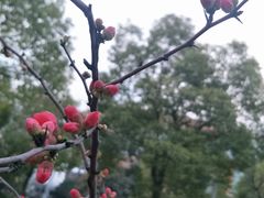 -中国计量大学(西校区)