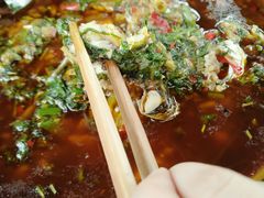 -苏记溪河鲢鱼庄(天府新区店)