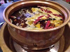 -镇江龙·火锅串串(武侯祠店)