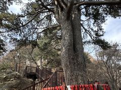 -终南山南五台景区