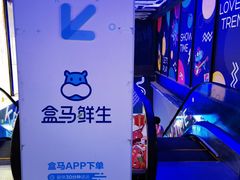 -盒马鲜生(龙德广场店)