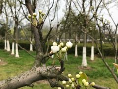 -白塘生态植物园