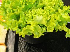-四斤烤肉(东戴河孟家店)