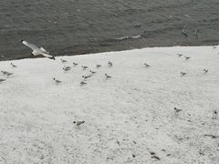 -青海湖二郎剑景区