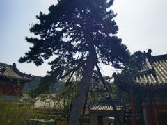 -潭柘寺景区