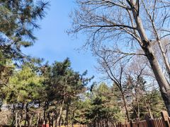 -沈阳市东陵公园