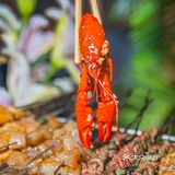 夏日美食火出圈，这份“撸串”指南送给你~