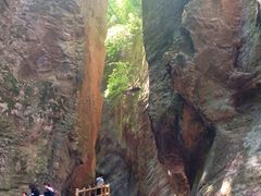 -牛背梁国家森林公园