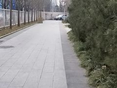 -北京八中游泳馆