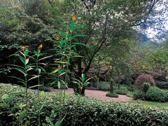 -三嚥阁 La Villa Restaurant
