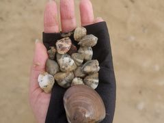 -北海金海湾红树林生态旅游区