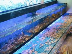 -透明思烤·自助烤肉海鲜火锅(东部星悦天地店)